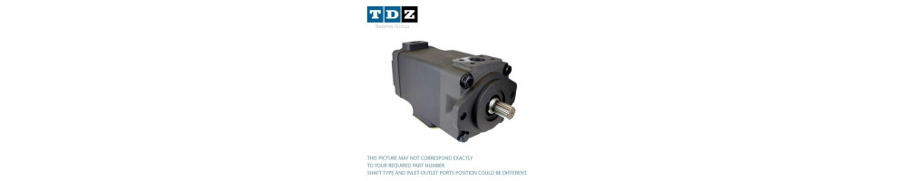 Double vane pumps