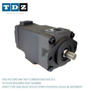 Double vane pumps