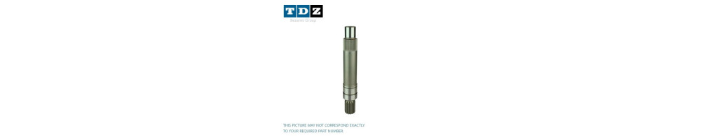 T6E