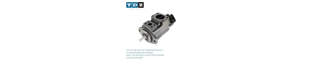2520V