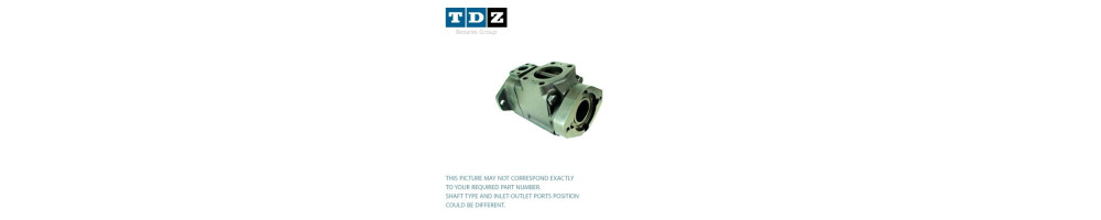 Thru drive vane pumps